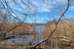 lake-Laurel Lake Preserve