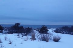 Snowy-Shoreline-Trees-scaled